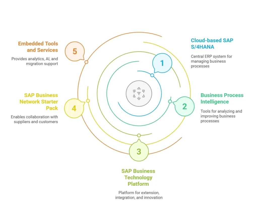 What Is RISE with SAP and Why Should You Care- myTrainingwala Best SAP Institute in India